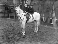 832154 Afbeelding van drie kinderen op een paard (schimmel).